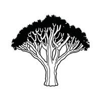 Creative Design of Desert Ironwood Tree vector