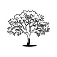 Unique Outline of Dwarf Almond Tree vector