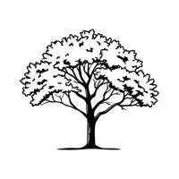 Unique Outline of Elm Tree vector