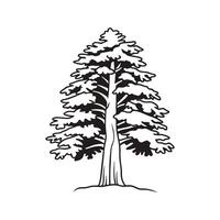 Unique Outline of Himalayan Fir Tree vector