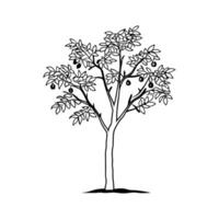 Creative Design of Indian Bael Tree vector