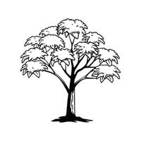 Unique Outline of Indian Bael Tree vector