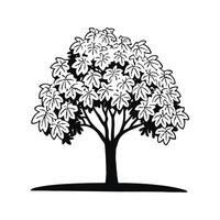 Stylized Outline of Indian Tulip Tree vector