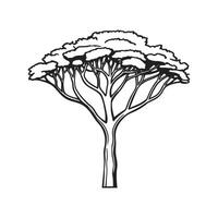 Stylized Outline of Italian Stone Pine vector