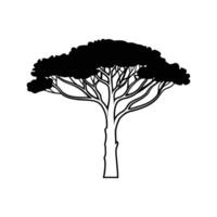 Creative Design of Italian Stone Pine Tree vector
