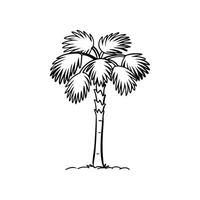 Stylized Outline of Japanese Fan Palm vector
