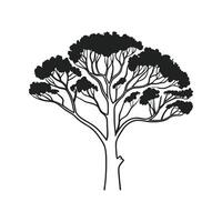 Italian Stone Pine Tree Bold Outline Art vector