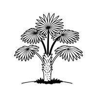 Unique Outline of Japanese Fan Palm Tree vector
