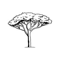Unique Outline of Italian Stone Pine Tree vector