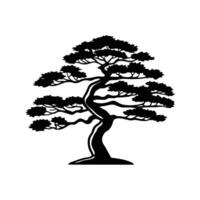 Creative Design of Japanese White Pine Tree vector