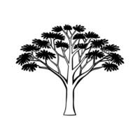 Unique Outline of Madagascar Olive Tree vector