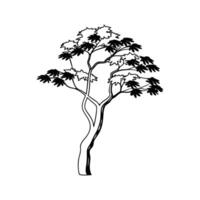 Stylized Outline of Maple Tree vector