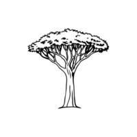 Unique Outline of Monkey Ear Tree vector
