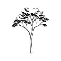 Creative Design of Mountain Ash Tree vector