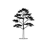 Northern Red Oak Tree Bold Outline Art vector