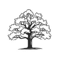 Creative Design of Oak Tree Outline vector