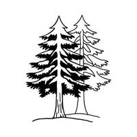 Stylized Outline of Pine Tree. vector