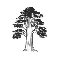 Creative Design of Pacific Coast Redwood Tree vector