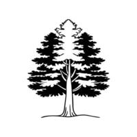Unique Outline of Pine Tree vector