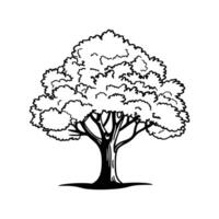 Pond Apple Tree Bold Outline Art vector