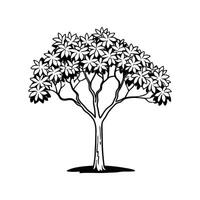 Stylized Outline of Pond Apple Tree. vector