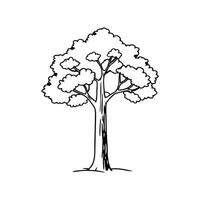 Dynamic River Red Gum Tree Illustration vector
