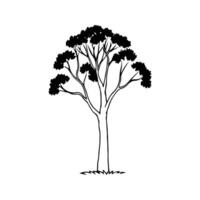Lush Red Gum Tree by Water vector