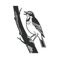 Robin on Tree Branch Artwork vector