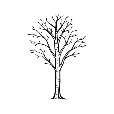 Graceful Silver Birch Tree Design