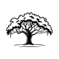 Artistic Southern Live Oak Tree Design vector