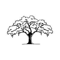 Dynamic Southern Live Oak Tree Artwork vector