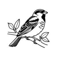 Charming Sparrow Sitting on Branch vector