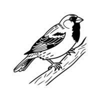 Artistic Sparrow on Branch Design vector