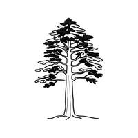 Artful Sugar Pine Tree Illustration vector
