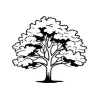 Texas Red Oak Tree Art Design vector