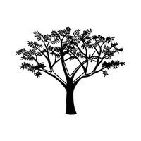 Texas Mesquite Tree Artistic Design vector