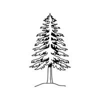 Charming Western Hemlock Tree Artwork vector