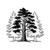 Western Hemlock Tree Artistic Design vector