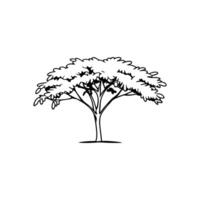 Charming Wild Tamarind Tree Illustration vector