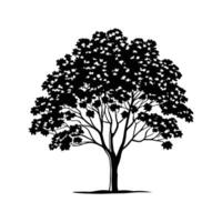 Artful Whitebeam Tree Design vector
