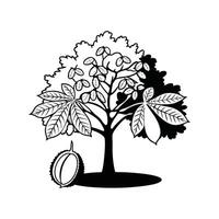 Red Buckeye Tree Artistic Design vector