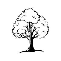 Red Mulberry Tree Artistic Design vector