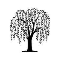 Graceful Willow Tree Artwork vector