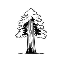 Redwood Tree Artistic Design vector
