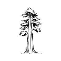 Stylized Redwood Tree Design vector