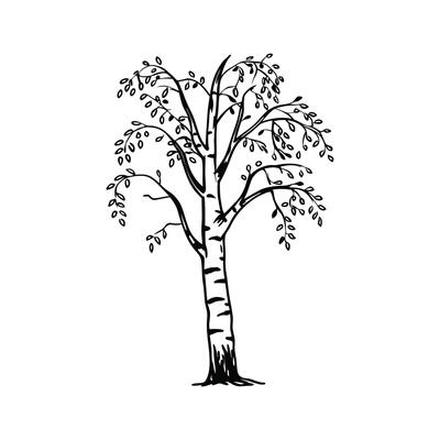 Stylized River Birch Tree Artwork
