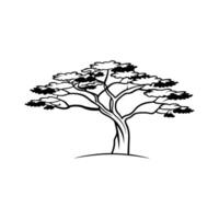 Stylized Rocky Mountain Juniper Tree vector