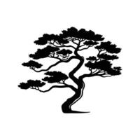 Charming Rocky Mountain Juniper Tree Art vector