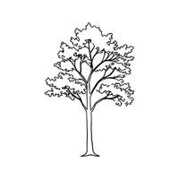 Sassafras Albidum Tree Artistic Design vector