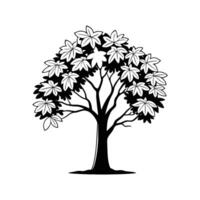 Vivid Sassafras Tree Illustration vector